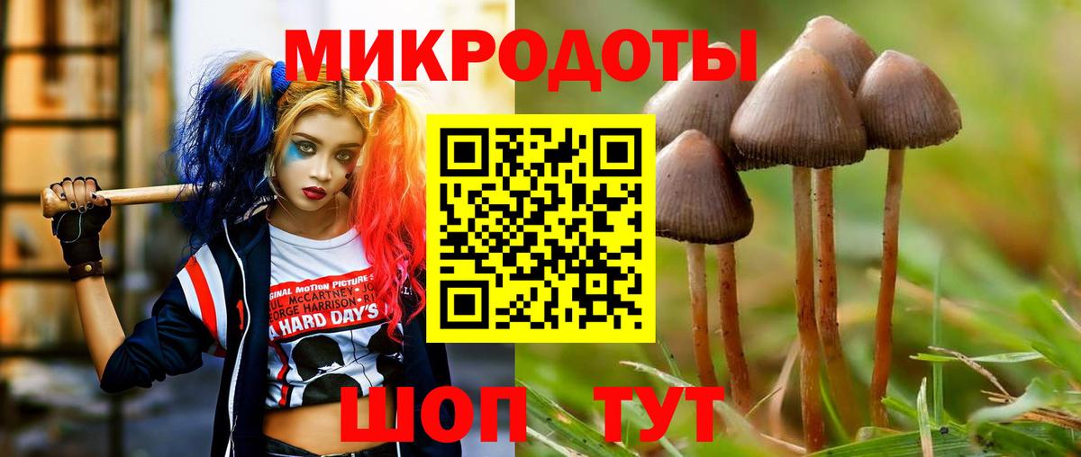 Псилоцибиновые грибы Psilocybe Рузаевка