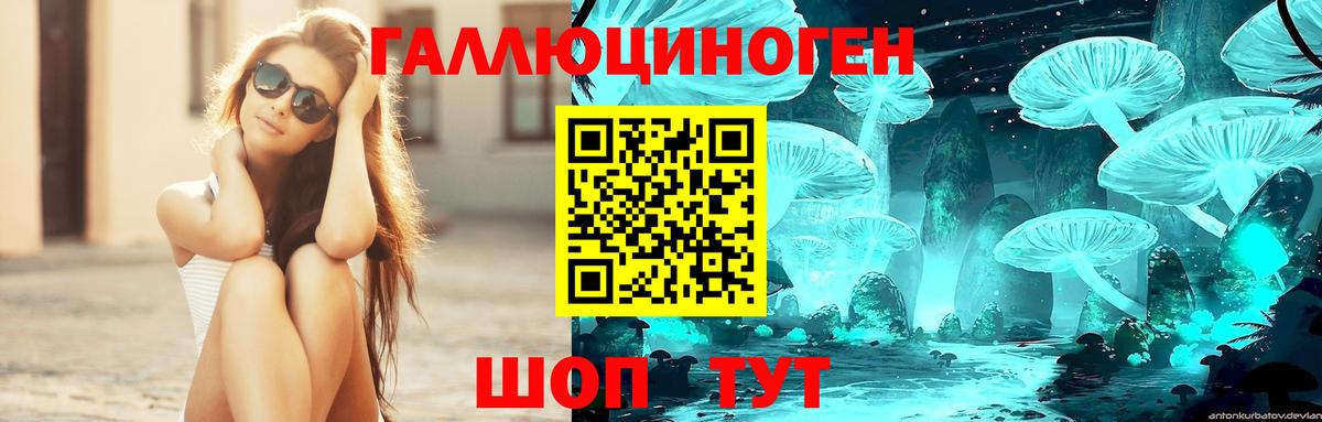 Галлюциногенные грибы Psilocybine cubensis  Галлюциногенные грибы GOLDEN TEACHER  Вход с VPN  Рузаевка 